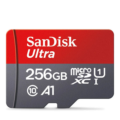 SanDisk 256GB